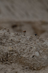 soil  circle　 / Testuya Hioki    Japanese Wabisabi  Art  object