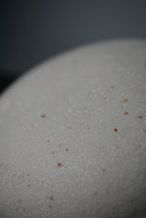 氷衣肌　/ Akari Sato