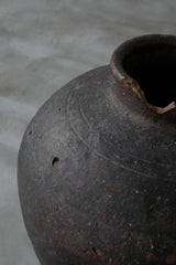 信楽大壺 江戸  /  Japanese Antiques