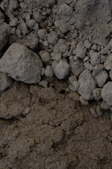 土の時間___ 土の会　2/21(土)13:00-14:30 日置哲也