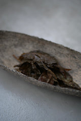 乾漆　茶即　茶道具 / Toshihiko Iwata 岩田俊彦