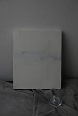 canvas  jistu Yoshimi Horiguchi F2