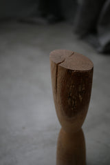 Forest  Object  by Sota  Okabe