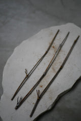 黒竹　茶通し　/  Kanako Yoshida