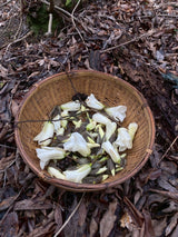 表現者の器たち____香の会　【春】４月２６日ご予約ページ