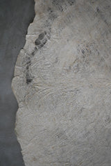 楮樹皮布15　中サイズ　Naoko Seno / 茶席　敷布