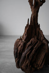 木根　オブジェ　/  Japanese Antique Primitive Wooden Object