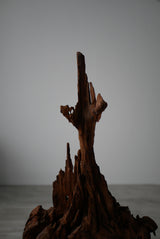 木根　オブジェ　/  Japanese Antique Primitive Wooden Object