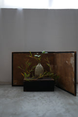 For Marvin  / Japanese antique  Urushi  Black Box