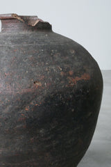 信楽大壺 江戸  /  Japanese Antiques