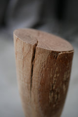 Forest  Object  by Sota  Okabe