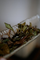 表現者の器たち____香の会　【春】４月２６日ご予約ページ