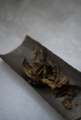 scented time  東京香堂 × 茶人　辰巳香織　1/24(土) 15:30 strokeに寄せて