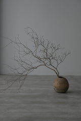 Moon Jar  満月壺　直径20 Testuya Hioki    Japanese  soil   Art 花器