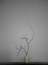 Stone Veil    花器　/ Akari Sato