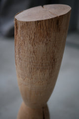Forest  Object  by Sota  Okabe