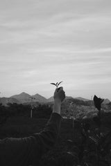 茶の呼吸____hitofuki 1/25(日) 15:30 strokeに寄せて