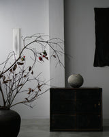 花の会____3/1(土)11:00-12:30