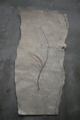 楮樹皮布15　中サイズ　Naoko Seno / 茶席　敷布