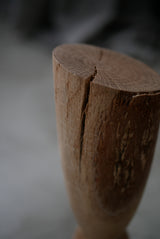 Forest  Object  by Sota  Okabe
