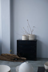 花の会____3/1(土)11:00-12:30