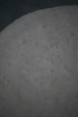 石肌　台皿　/ Akari Sato