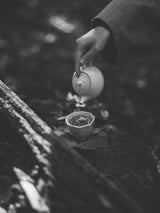水景____水の茶会 hitofuki  6/19(金)　１５：３０