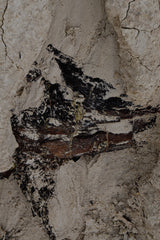 soil  circle　 / Testuya Hioki    Japanese Wabisabi  Art  object