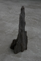 HOLD 木　古材　オブジェ　Masato Ikeda  / 　Old Primitive Wooden Object