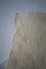 楮樹皮布18　細手　Naoko Seno  / 茶席　敷布　