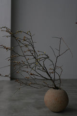 Moon Jar  22cm 満月壺　/ Testuya Hioki    Japanese  soil   Art 花器