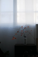 花の会____3/1(土)11:00-12:30