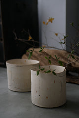 ドローイング    花器　/ Akari Sato