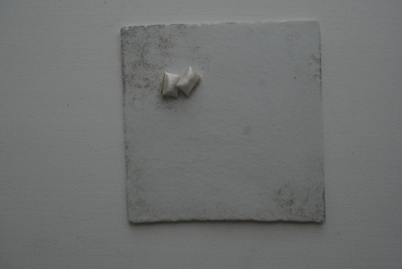 White porcelain square plate